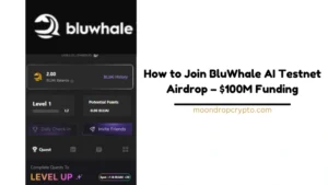 How to Join BluWhale AI Testnet Airdrop (2)