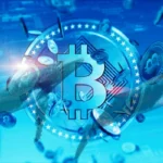 Bitcoin Whales Are Stockpiling BTC