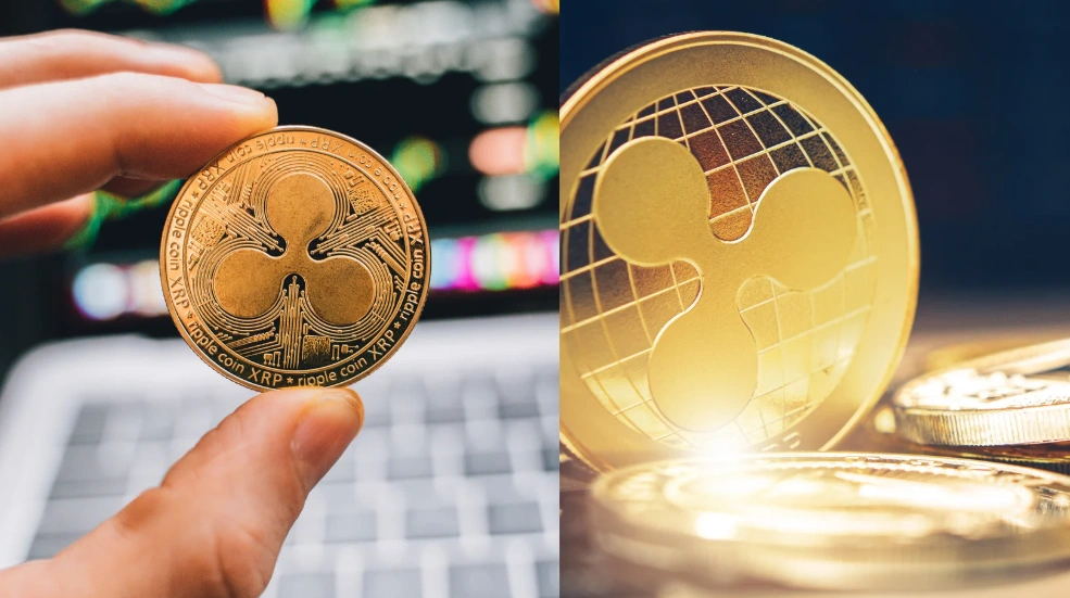 XRP Price Surge Steals the Show